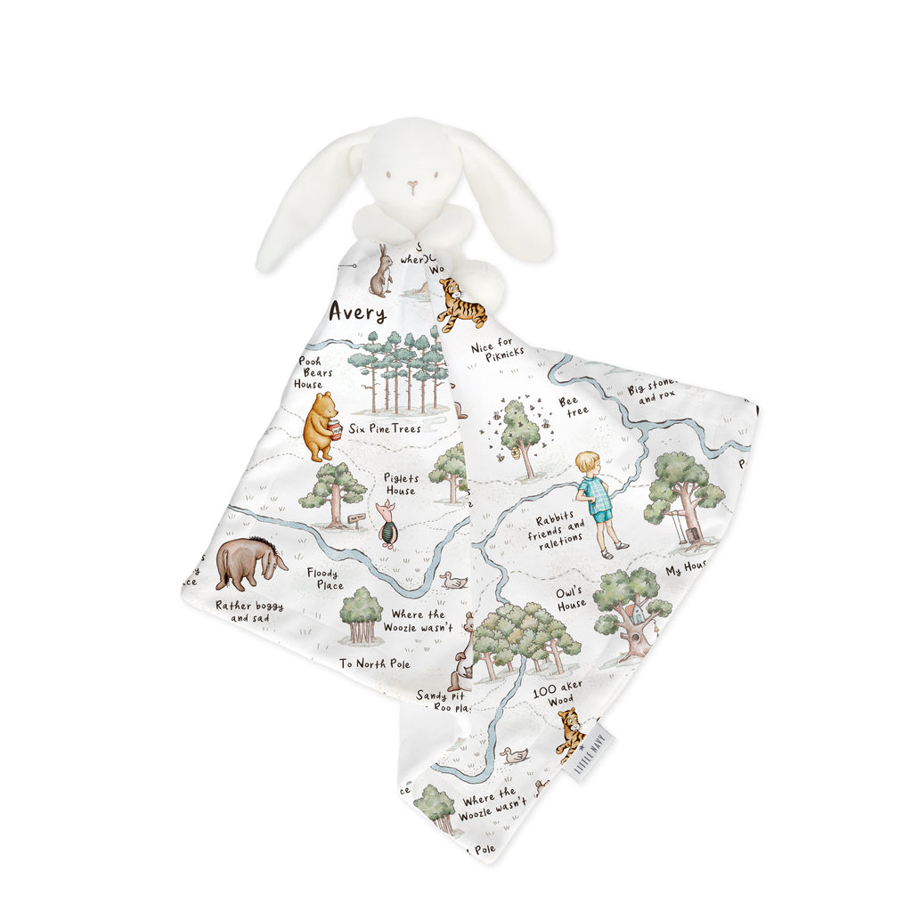 Classic Pooh Bunny with lovie