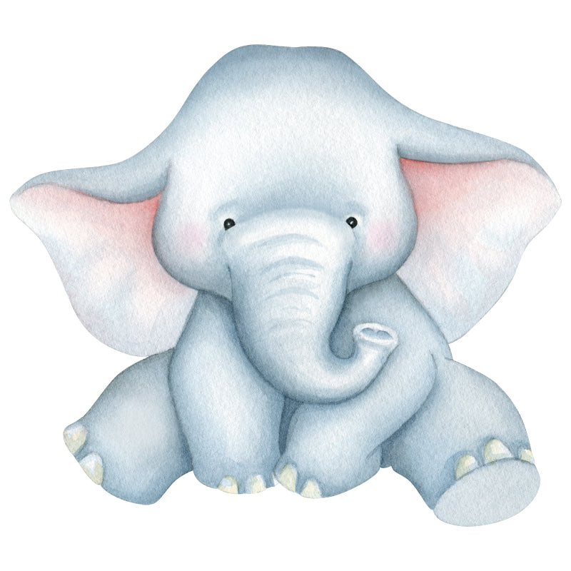 ds_MyElephant