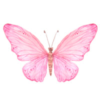stickylabel_butterfly