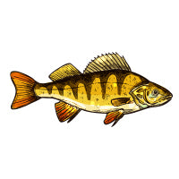 stickylabel_yellowfish
