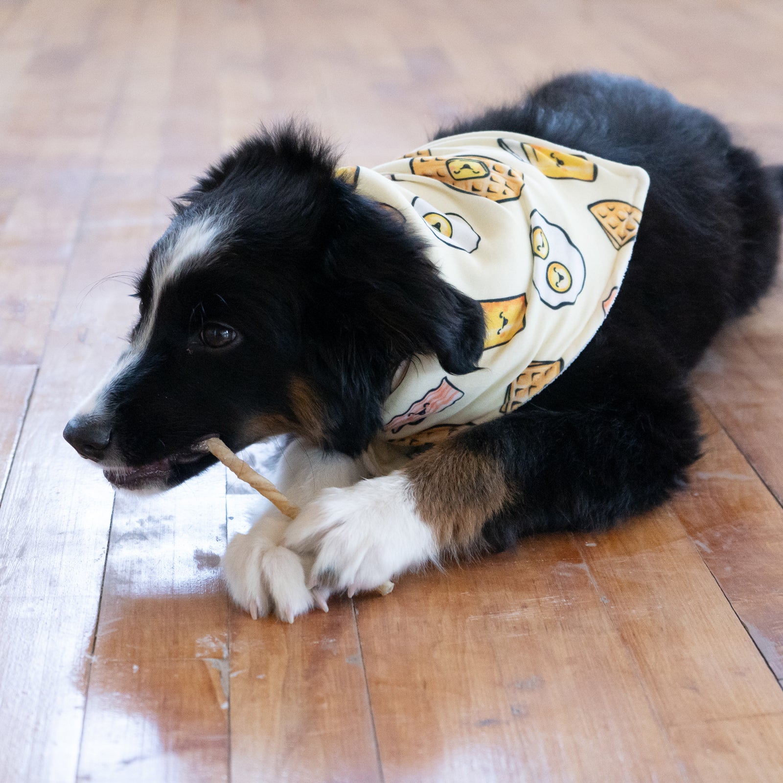 Personalized Dog Bandana