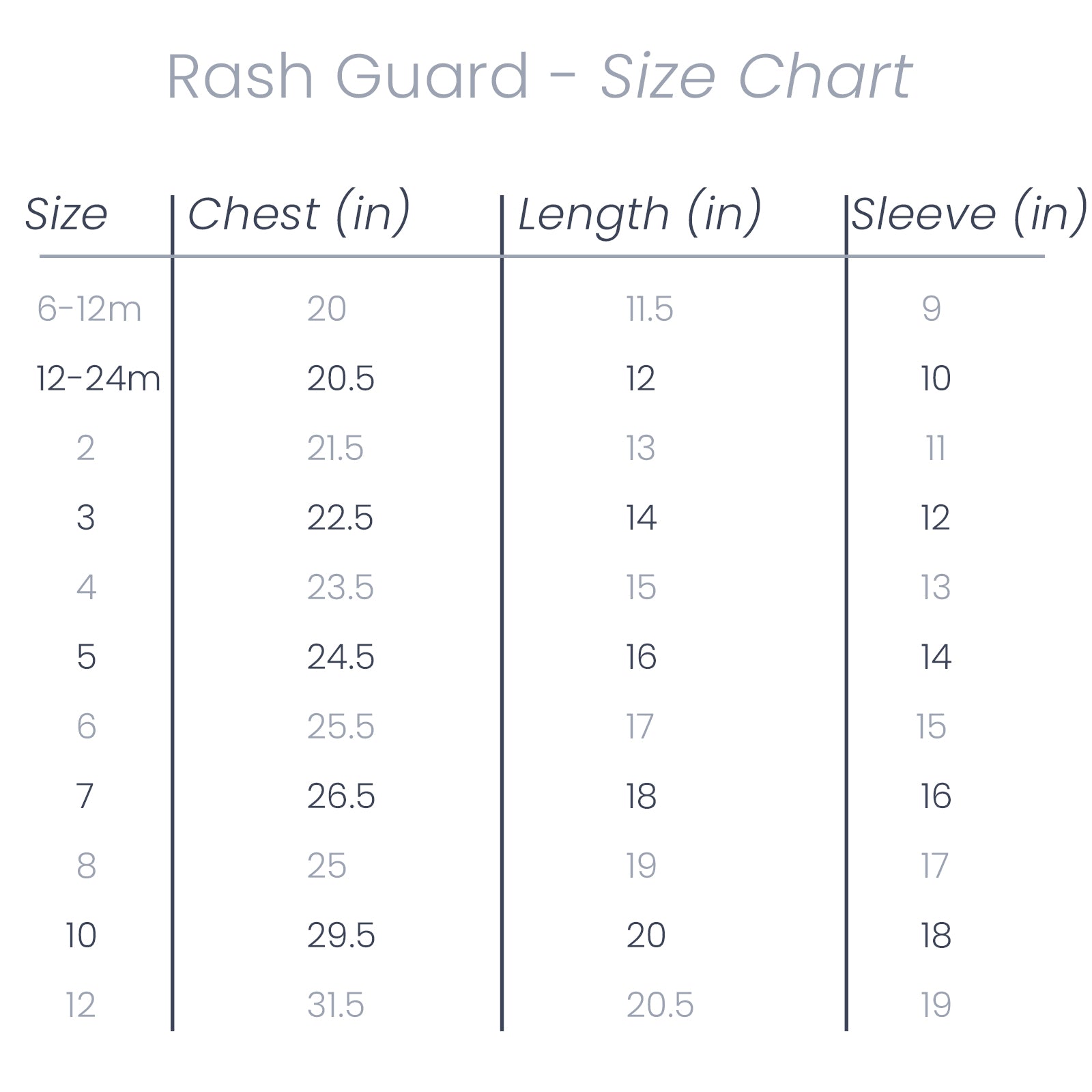 Swim '24 - Rash guard