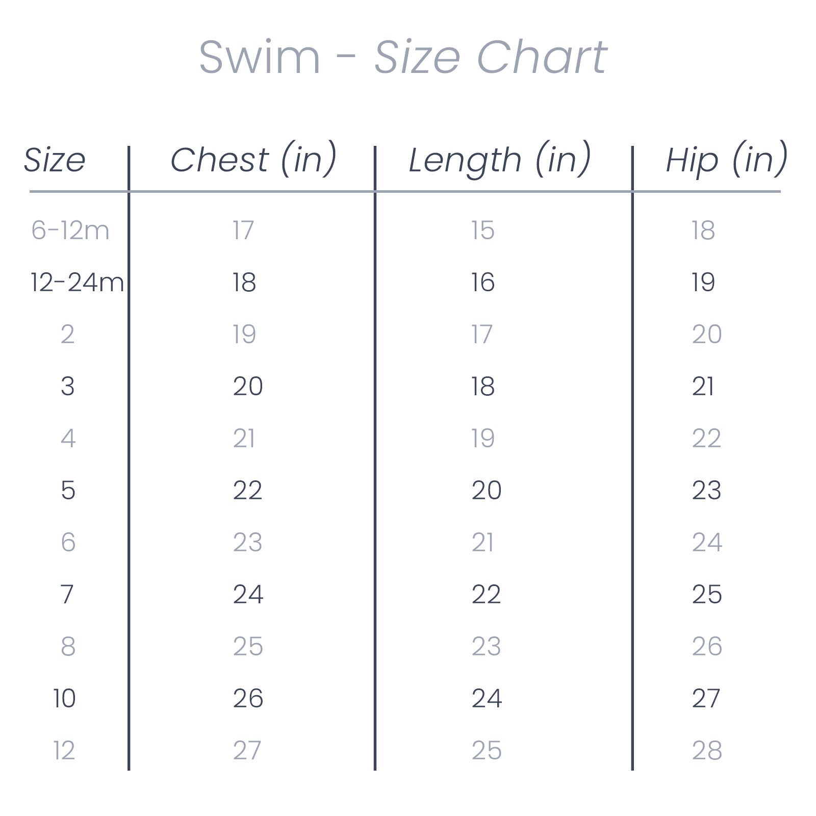Swim '24 - Bikini Brief